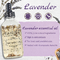 Βοτανικό Lavender ODM ουσιαστικό πετρέλαιο για την τροφή σώματος προσώπου