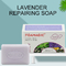 Οργανικό Lavender ακμής εγκαταστάσεων χειροποίητο αντι σαπούνι φραγμών που λευκαίνει το τρέφοντας δέρμα